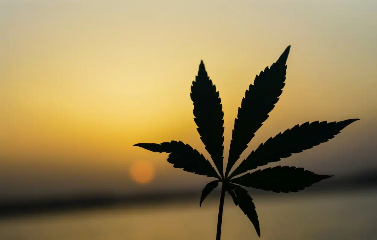 new-york-marijuana-driving-law